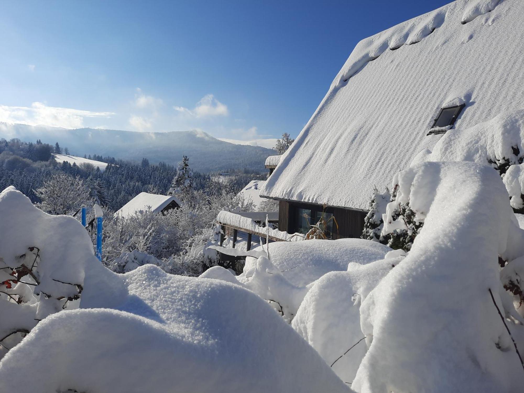 Villa Haus Mit Bergblick Siegsdorf Exterior foto